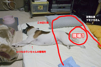 現場検証
