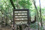 いきなり自殺しないでですか...