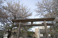 宇迦八幡宮