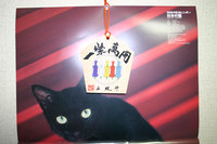 猫と絵馬