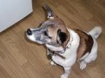 ran_20080226.jpg