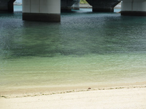 砂浜から海底までのグラデーションがキレイ