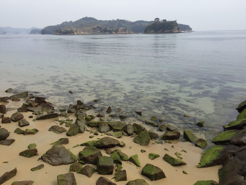 大島の海岸沿いを走る