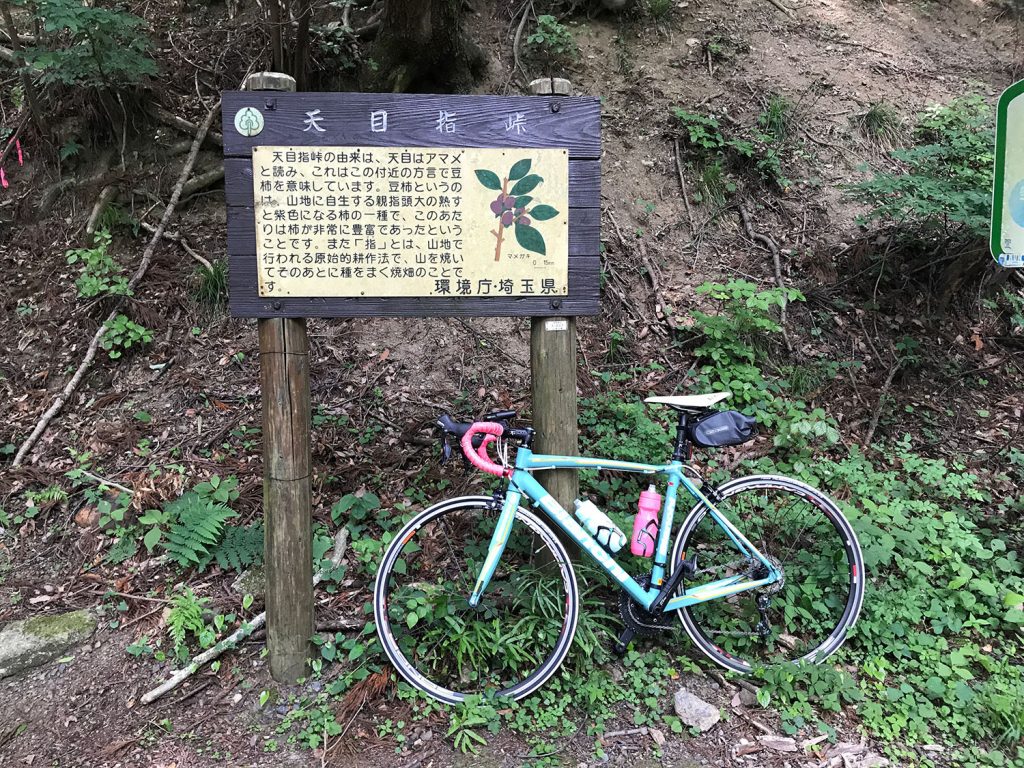 天目指峠に登る