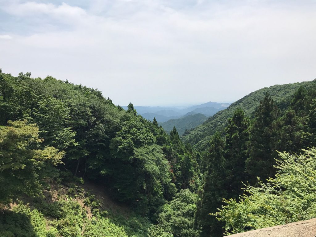 正丸峠からの眺め